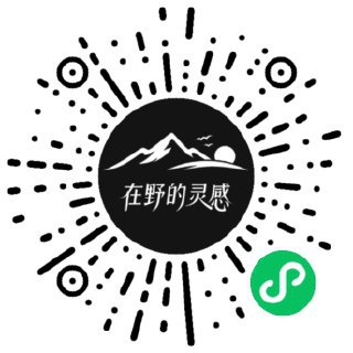 V2EX-最热主题全程没有手写任何一行代码，让 antigravity 完成小程序开发～ToDayMkCode:做了一个关于收集图片提示词的微信小程序，又不想手撸