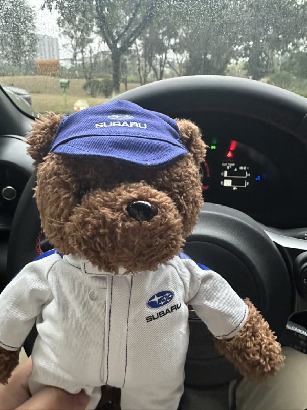 V2EX-最热主题新的一年，买了一台旧能源杂牌车#v2exDoubleKing:顺便问一下，没有有人想购入一台 18 年上牌 雨燕 的手动 1.5source