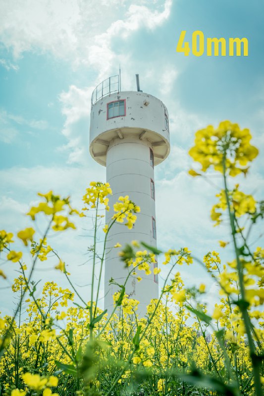 V2EX-最热主题七张图，带你走进我的焦段