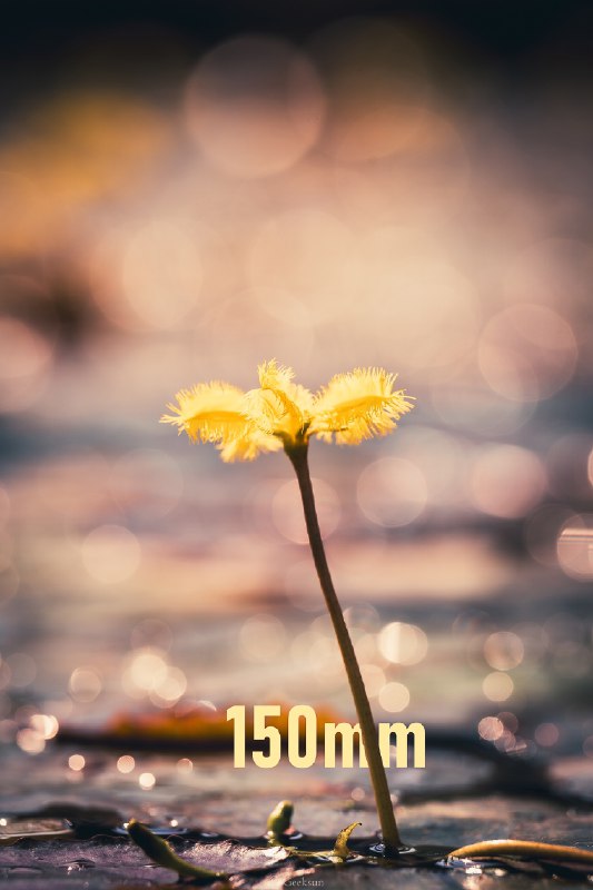 V2EX-最热主题七张图，带你走进我的焦段