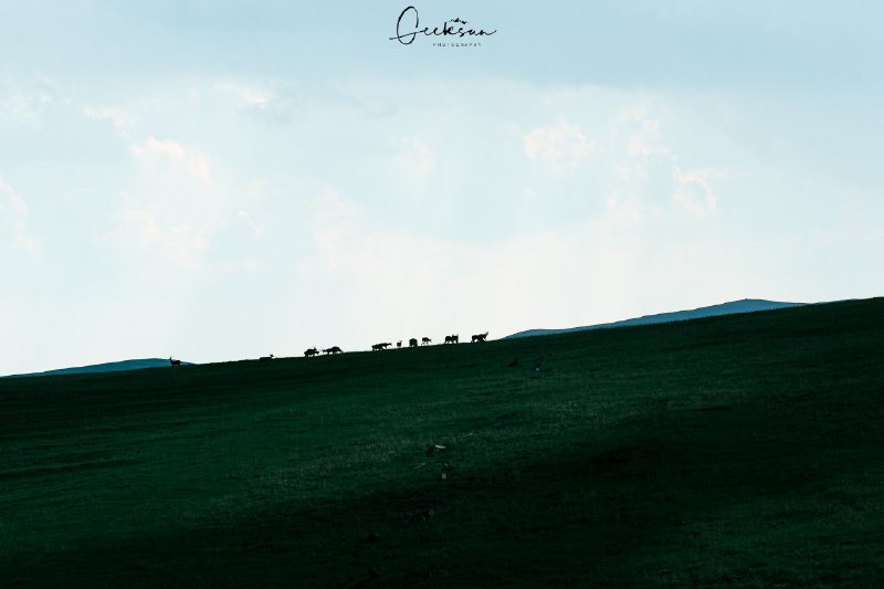 V2EX-最热主题草原的风，带走了烦恼，带来了自由#v2exGeeksun2021:sourceV2EX-最热主题草原的风，带走了烦恼，带来了自由#v2exGeeksun2021:source