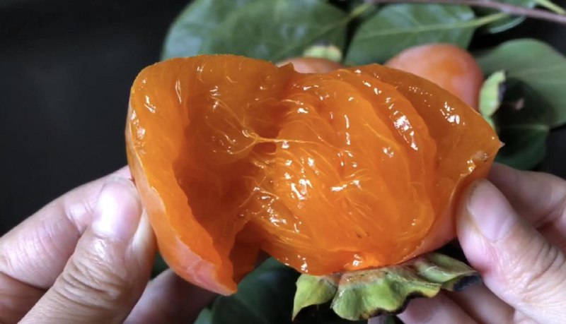 V2EX-最热主题有 V 友喜欢吃软柿子的不？#v2exkrisbai: 前两年在组里推过自家柿饼，谢谢 V 友们的捧场后续也有了些流量