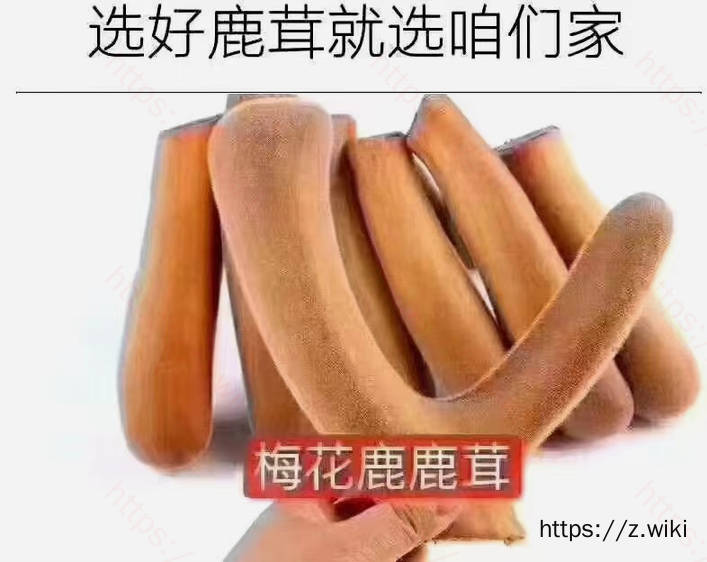 V2EX-最热主题自己养的梅花鹿，有鹿制品#v2exwingtao:家里自己养的梅花鹿，有新鲜鹿茸、鹿血等鹿系列产品，自己养的新鲜，品质有保证