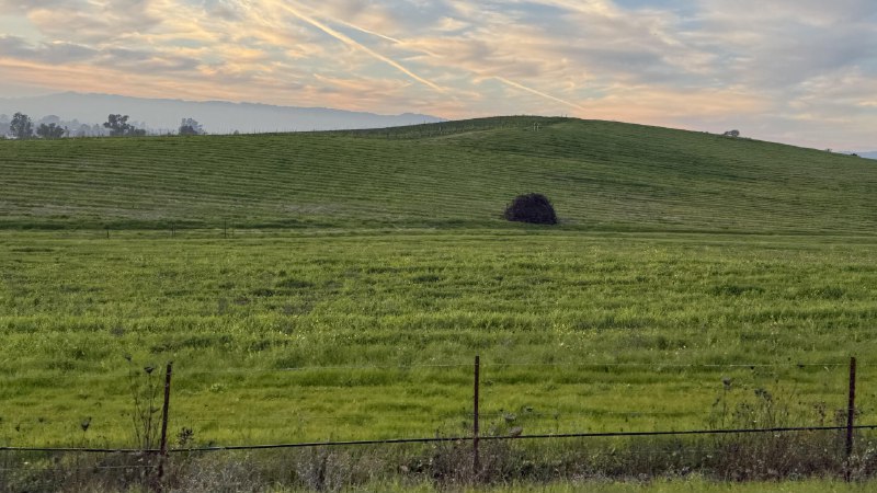 V2EX-最热主题今天路过了这个地方Livid:傍晚路过的时候从从车窗拍的