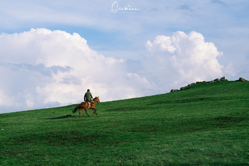 V2EX-最热主题草原的风，带走了烦恼，带来了自由#v2exGeeksun2021:sourceV2EX-最热主题草原的风，带走了烦恼，带来了自由#v2exGeeksun2021:source